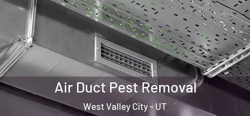  Air Duct Pest Removal West Valley City - UT