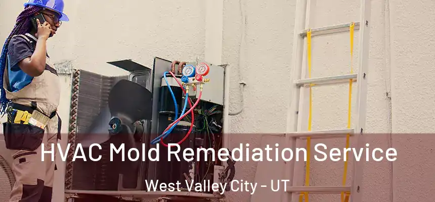  HVAC Mold Remediation Service West Valley City - UT