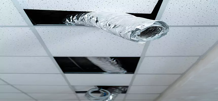 Our Air Duct Pet Hair Removal Services in West Valley City, UT