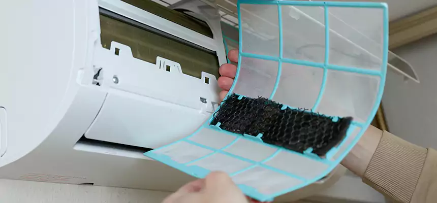 Gentle Ductwork Odor-Control Pet Dander Duct Cleaning in West Valley City, UT