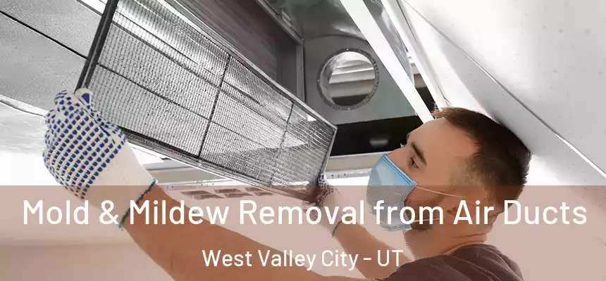  Mold & Mildew Removal from Air Ducts West Valley City - UT