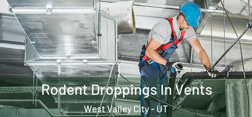 Rodent Droppings In Vents West Valley City - UT