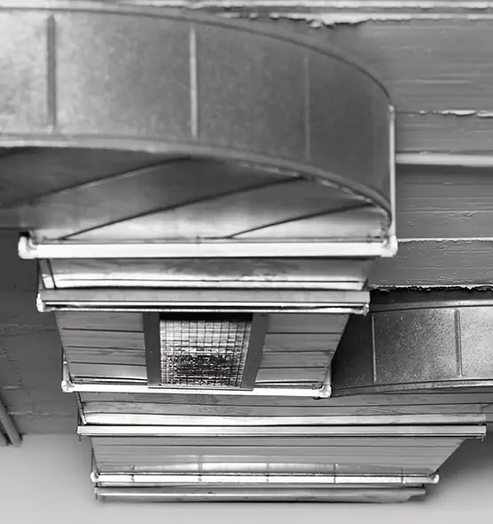 Professional Air Duct Pet Hair Removal in West Valley City, UT