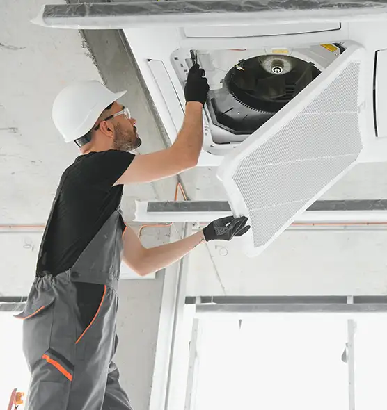 About Air Duct Rodent Removal in West Valley City, UT