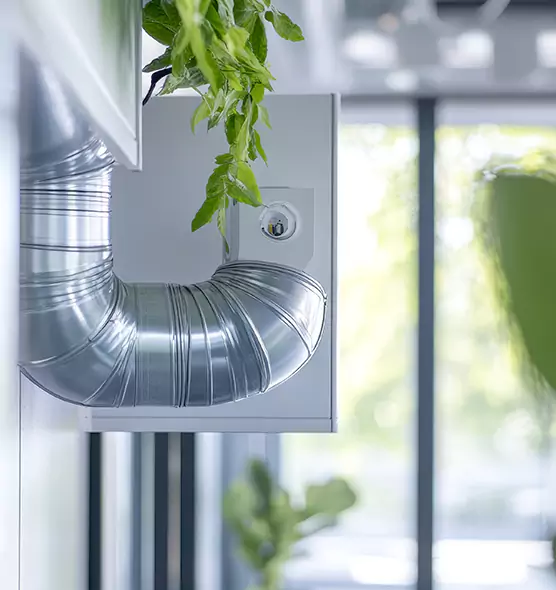 Professional Eco-Safe Dryer Vent Cleaning in West Valley City, UT