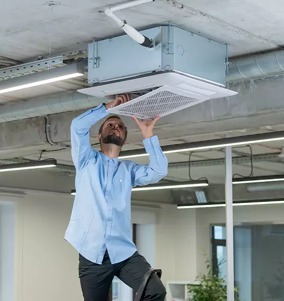 Advanced Rodent Droppings In Vents in West Valley City, UT